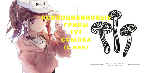 ALPHA PVP Алексеевка