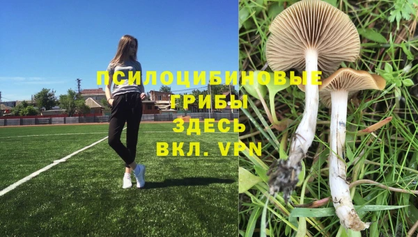 mdpv Алексин